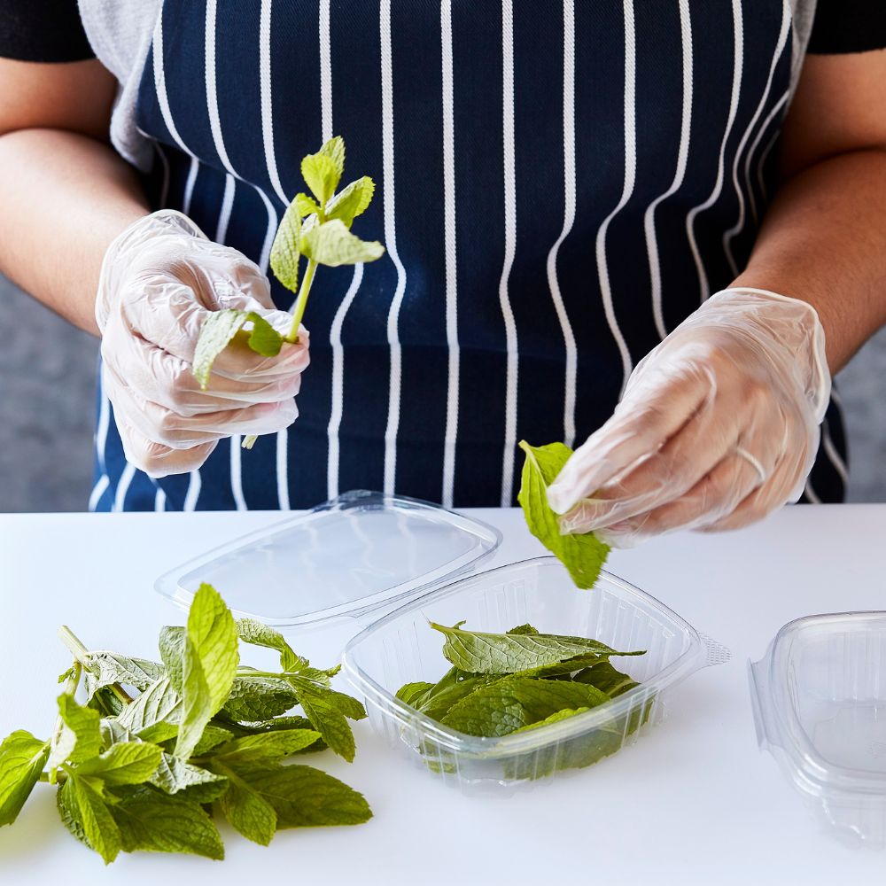 Extra Large Clear Powder Free Vinyl Gloves