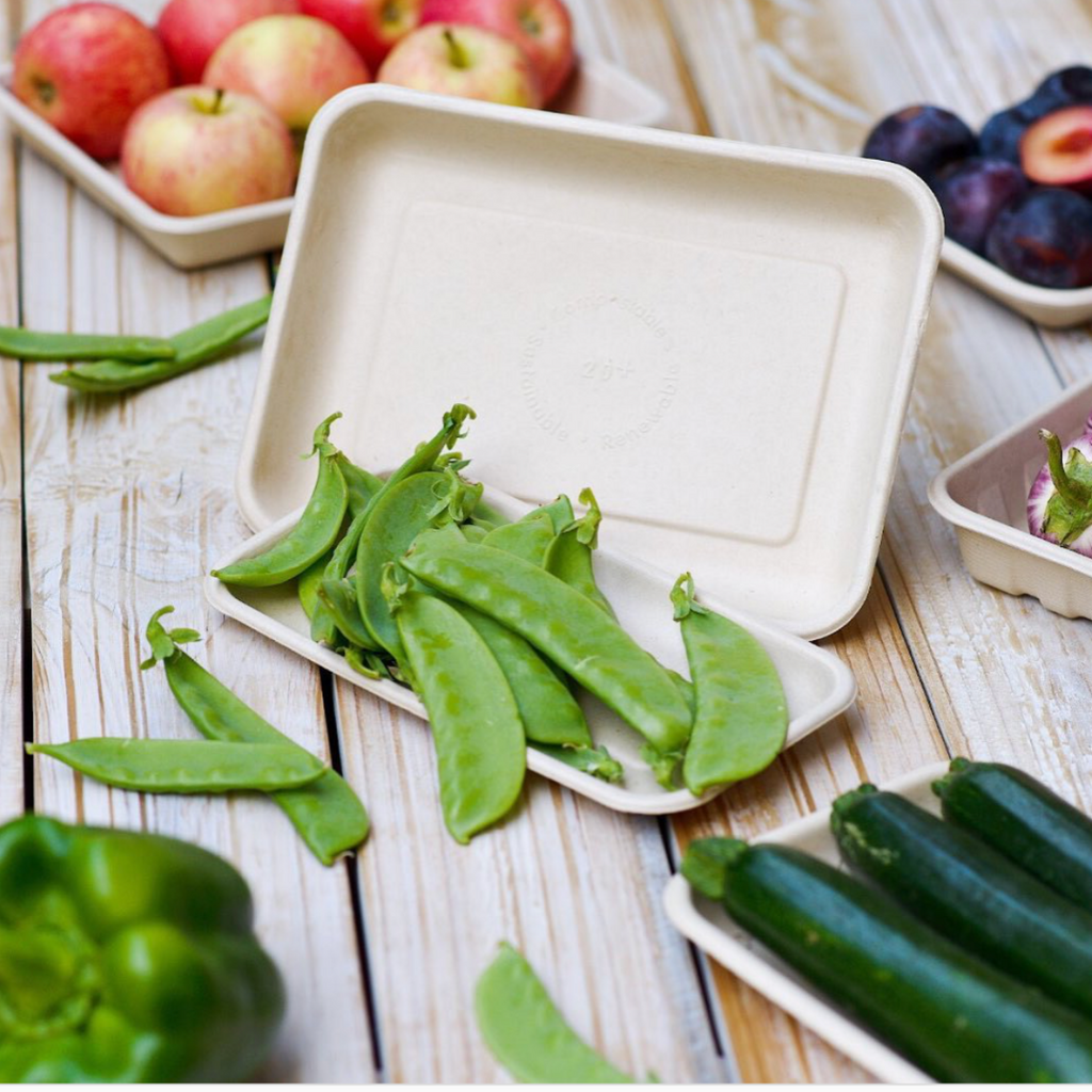 The Environmentally Sustainable Way To Replace Plastic Containers and Plates