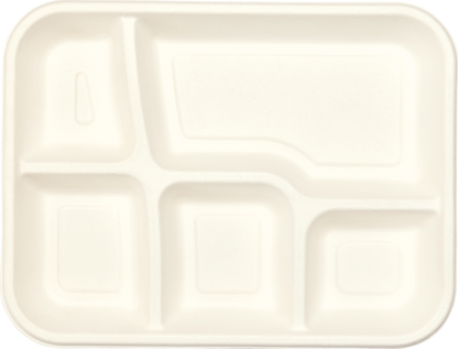 Top view of 5 compartment bagasse tray showing separate sections for hot and cold food – compostable and biodegradable plate.”