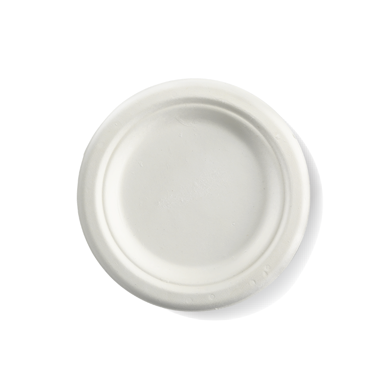 15cm /6 " Round Biocane Plate