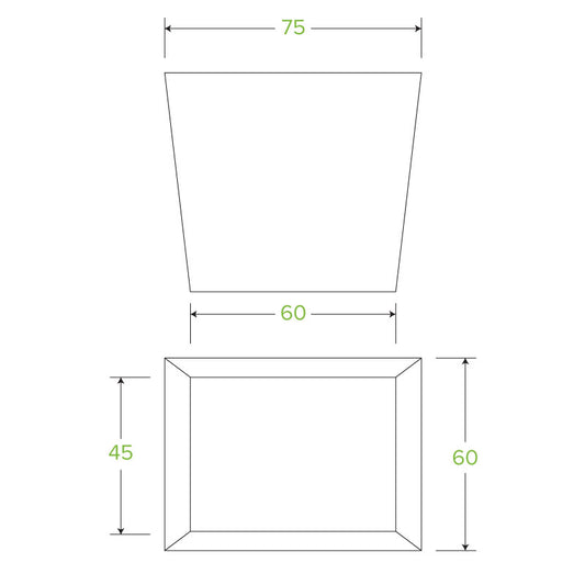 240ml/8oz BioBoard Noodle Box