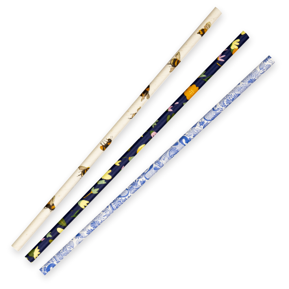 6MM REGULAR ART SERIES BIOSTRAW